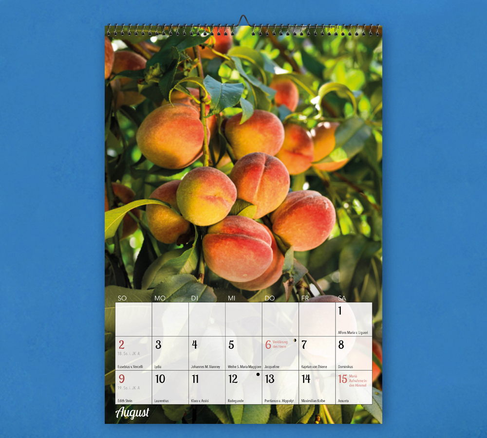 Steyler Bildkalender 2026 - DANK + FREUDE