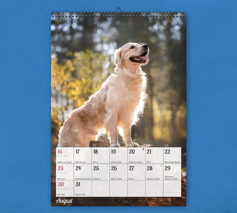 Steyler Bildkalender 2026 - DANK + FREUDE