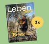 Kennenlernen