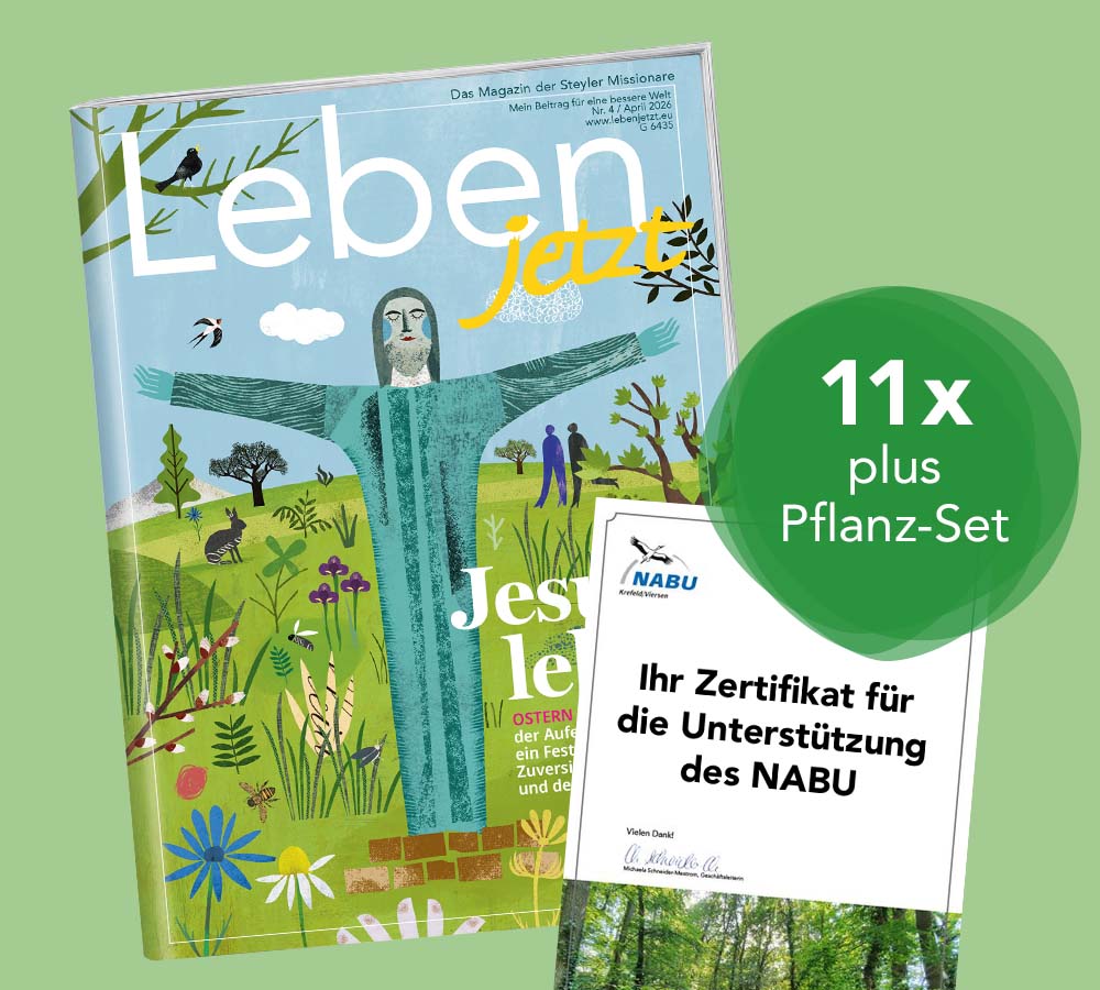 Grünes Abo verschenken