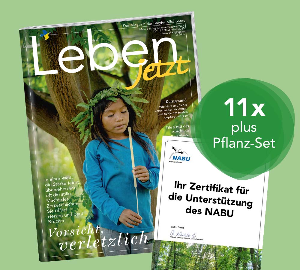 Grünes Abo verschenken