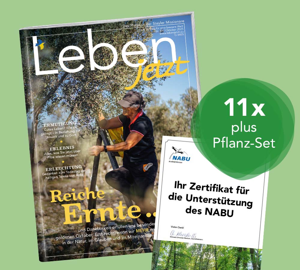 Grünes Abo verschenken