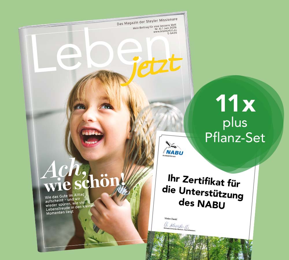 Grünes Abo verschenken