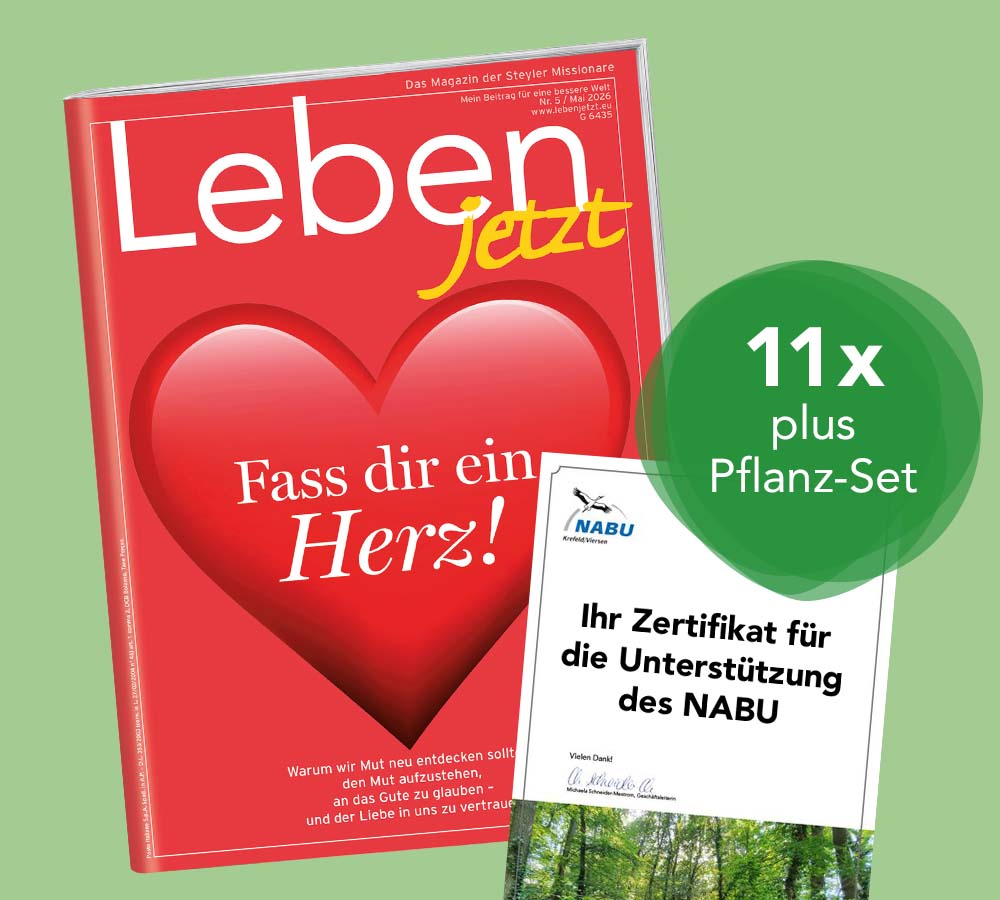Grünes Abo verschenken