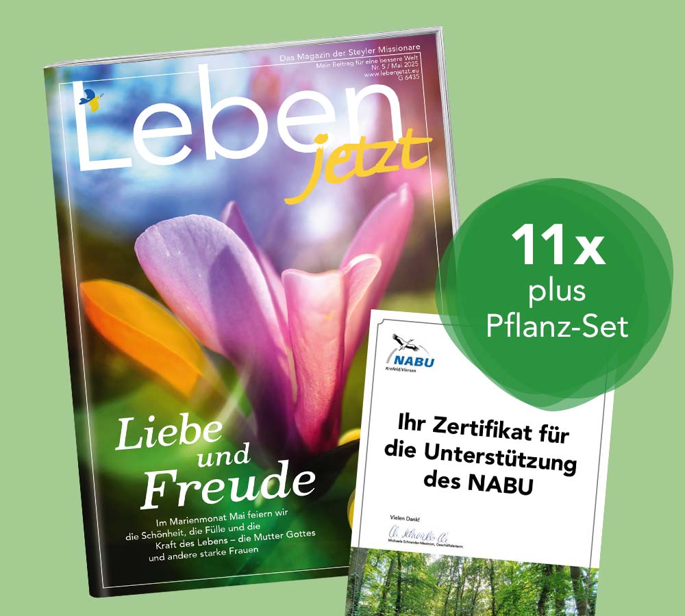 Grünes Abo verschenken