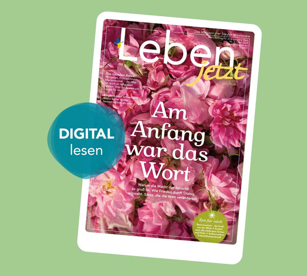 ePaper Steyler Missionare e.V. Medienapostolat