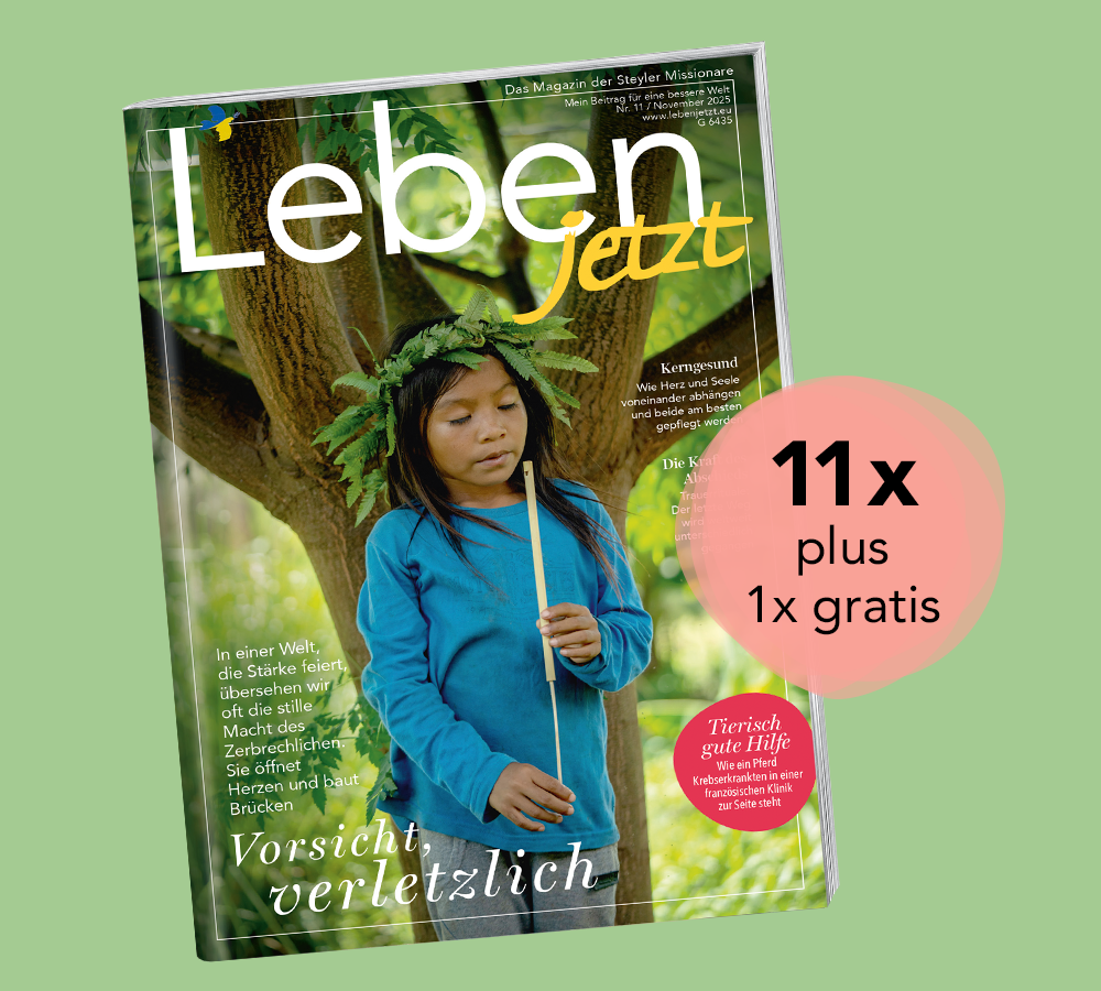 1 Jahr ermäßigt