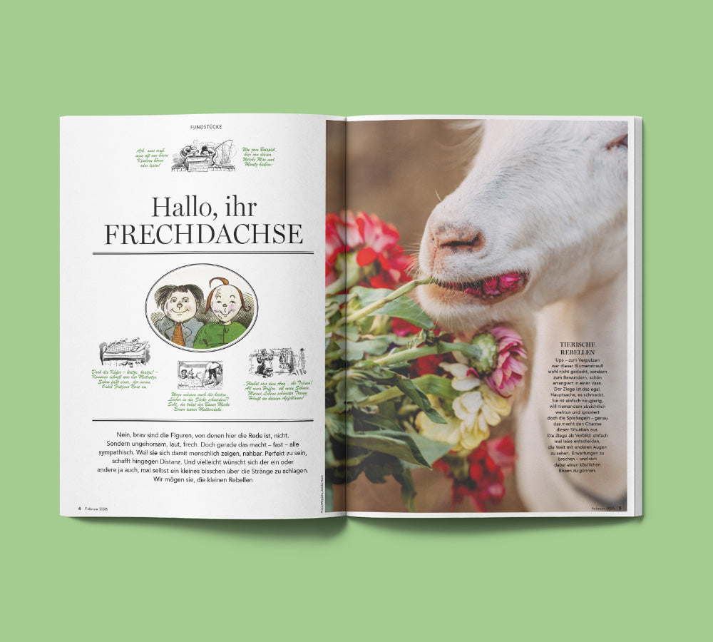 Leben jetzt - ein Probeheft