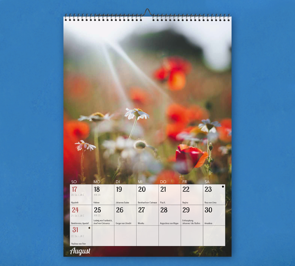 Steyler Bildkalender 2025 - DANK + FREUDE