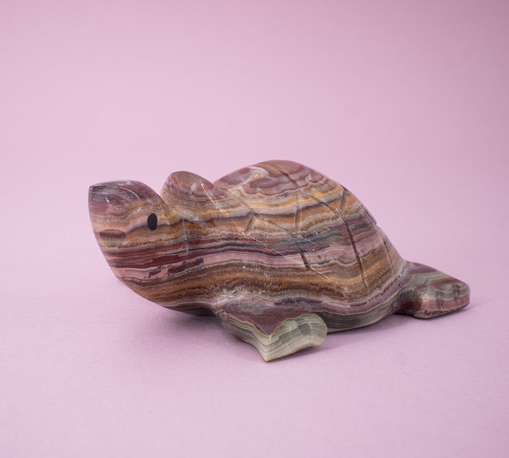 Schildkröten aus Onyx