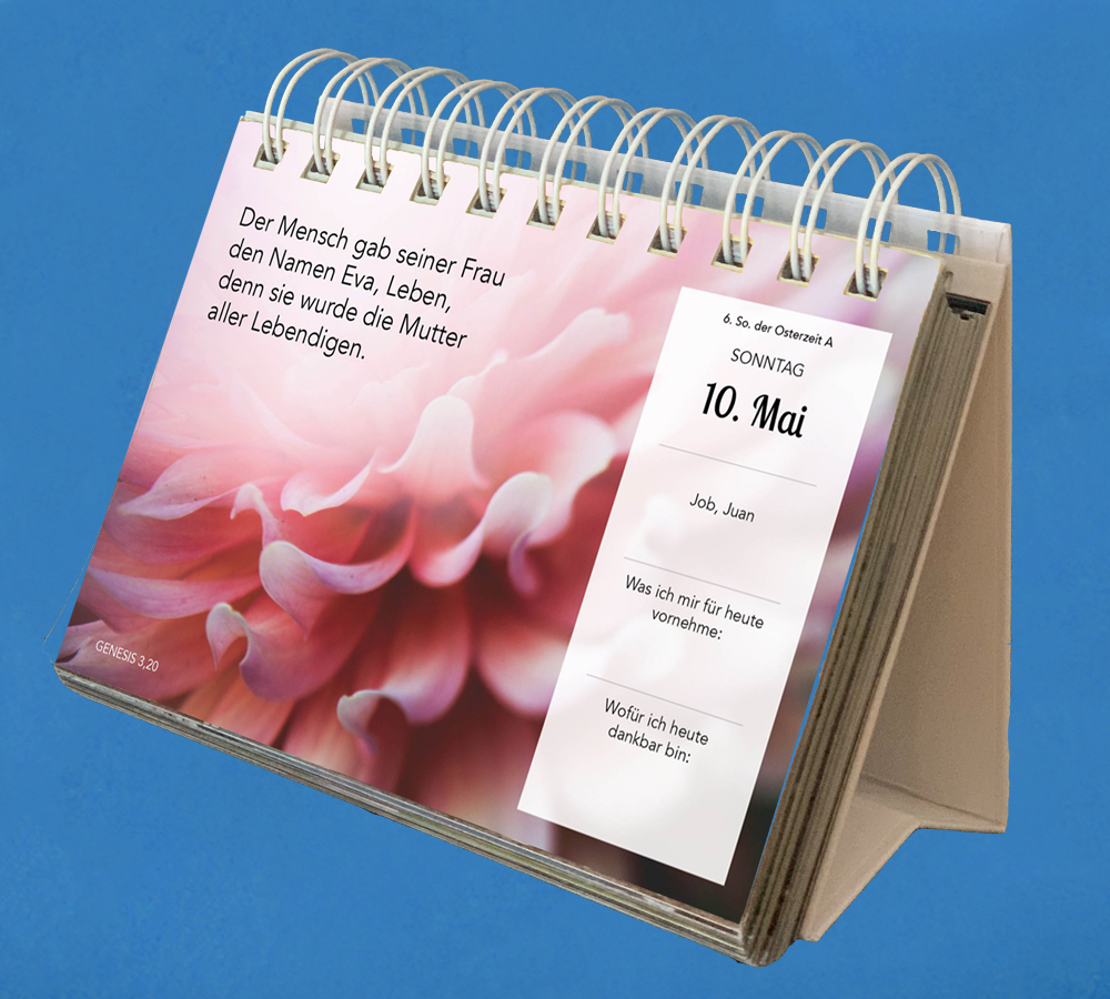 Steyler Tischkalender 2026 - GLÜCKLICH DURCH JEDEN TAG