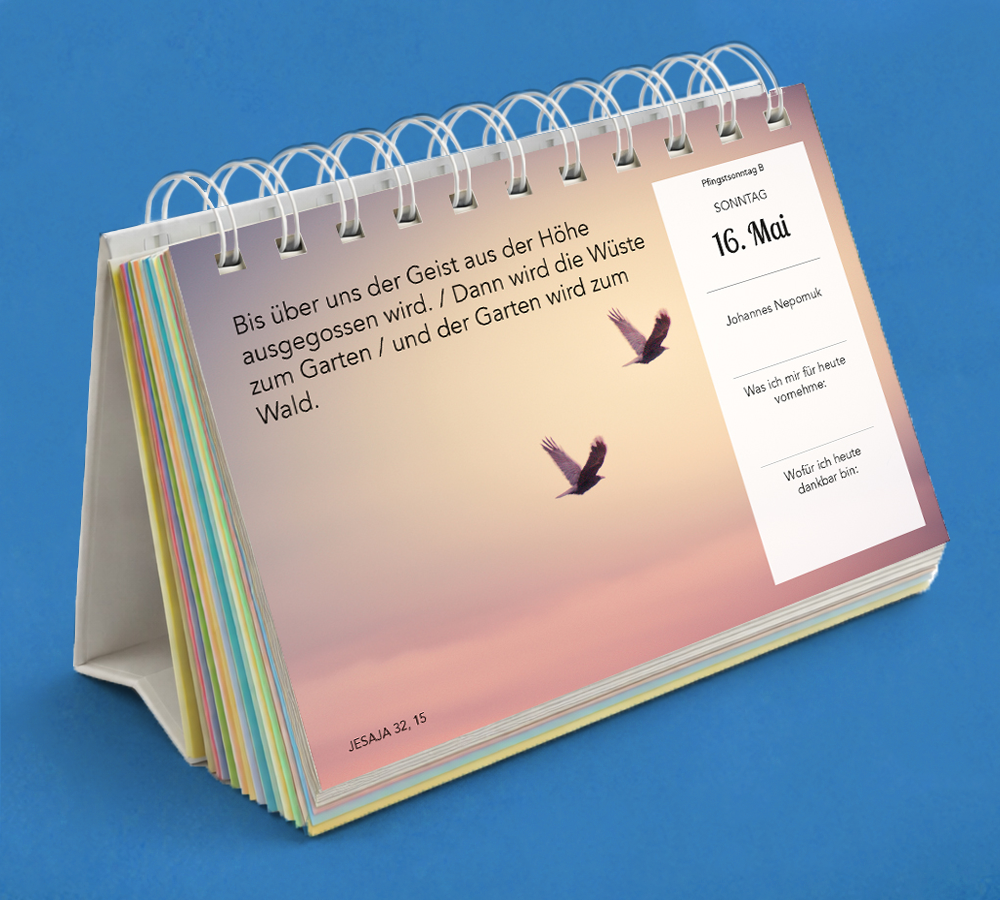 Steyler Tischkalender 2027 - GLÜCKLICH DURCH JEDEN TAG