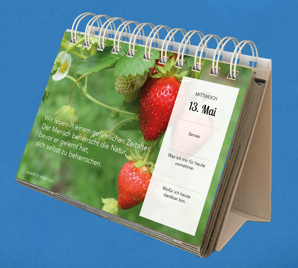 Steyler Tischkalender 2026 - GLÜCKLICH DURCH JEDEN TAG