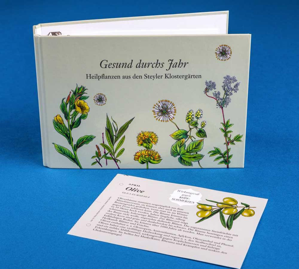 Sammelmappe: Gesund durchs Jahr