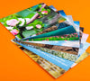 Postkarten-Set „Weisheiten aus aller Welt“