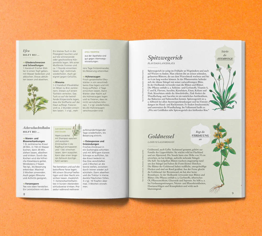 Heilkräuter aus den Steyler Klostergärten